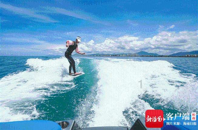 动物帮帮忙保卫家园